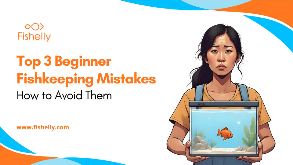 Top 3 Beginner Fishkeeping Mistakes & How to Avoid Them