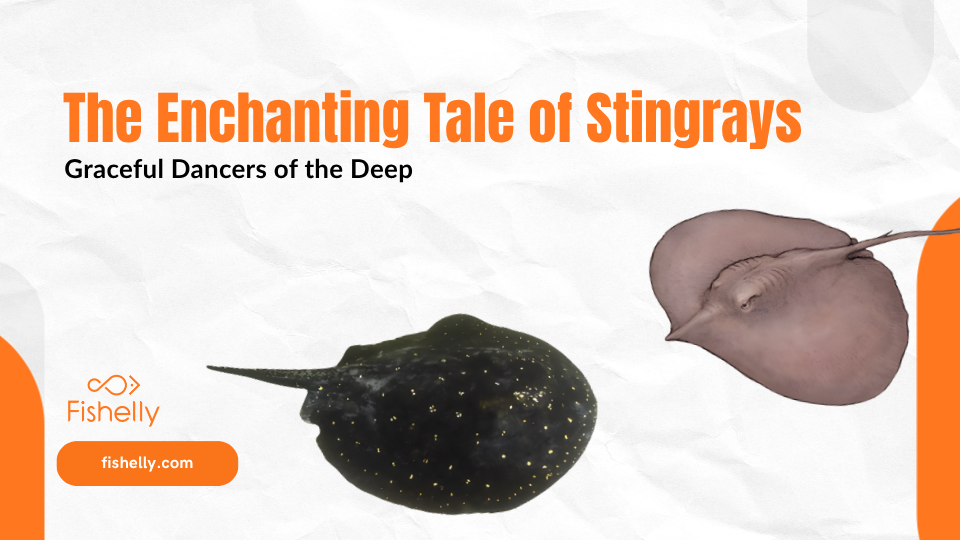 The Enchanting Tale of Stingrays - Graceful Dancers of the Deep