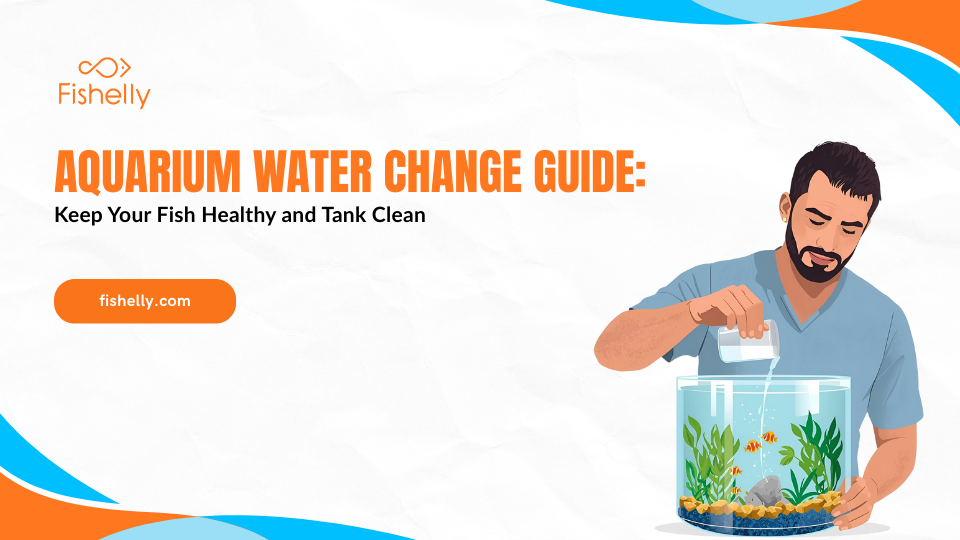 Aquarium Water Change Guide: Keep Your Fish Healthy and Tank Clean