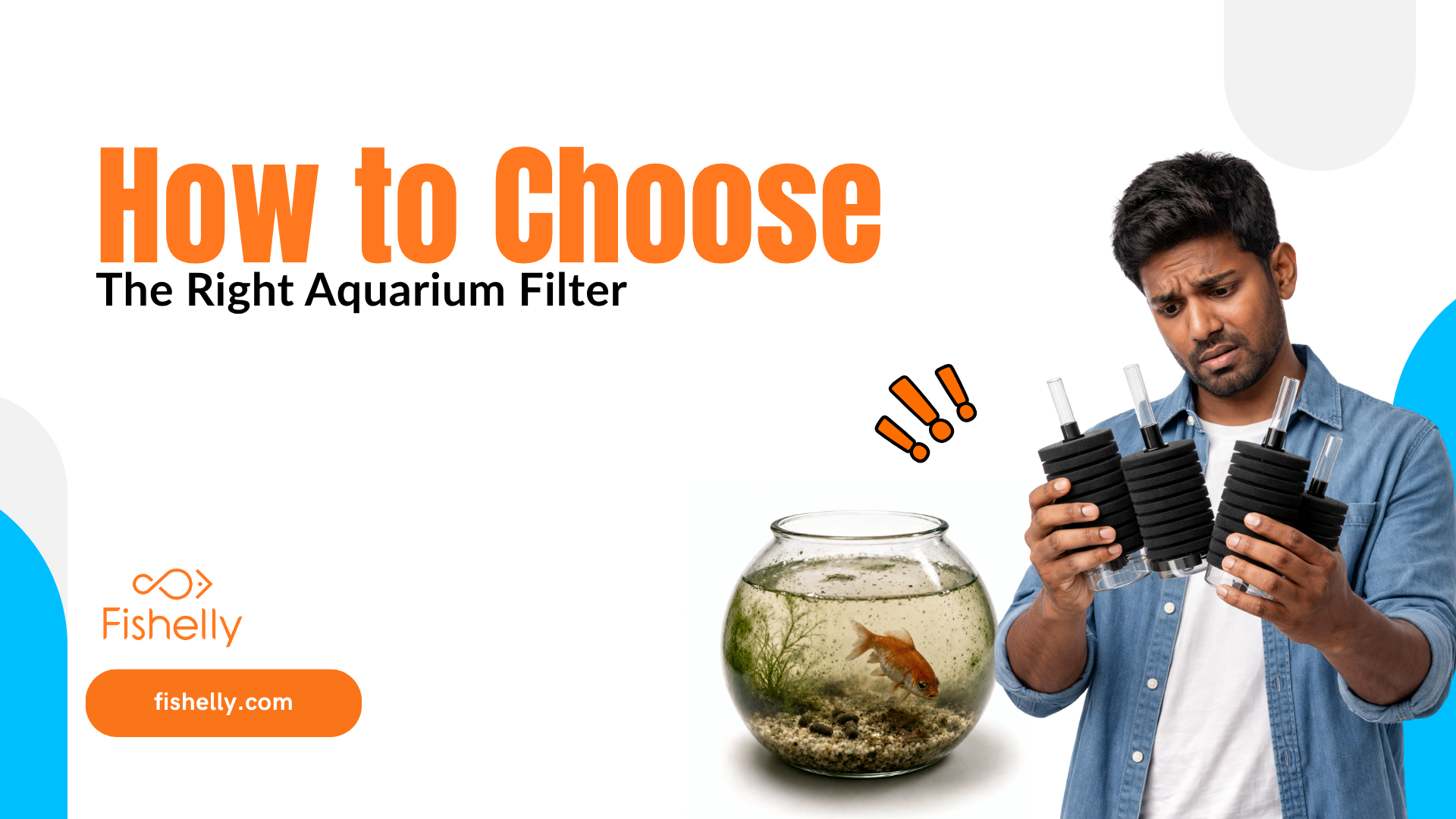 How to Choose the Right Aquarium Filter